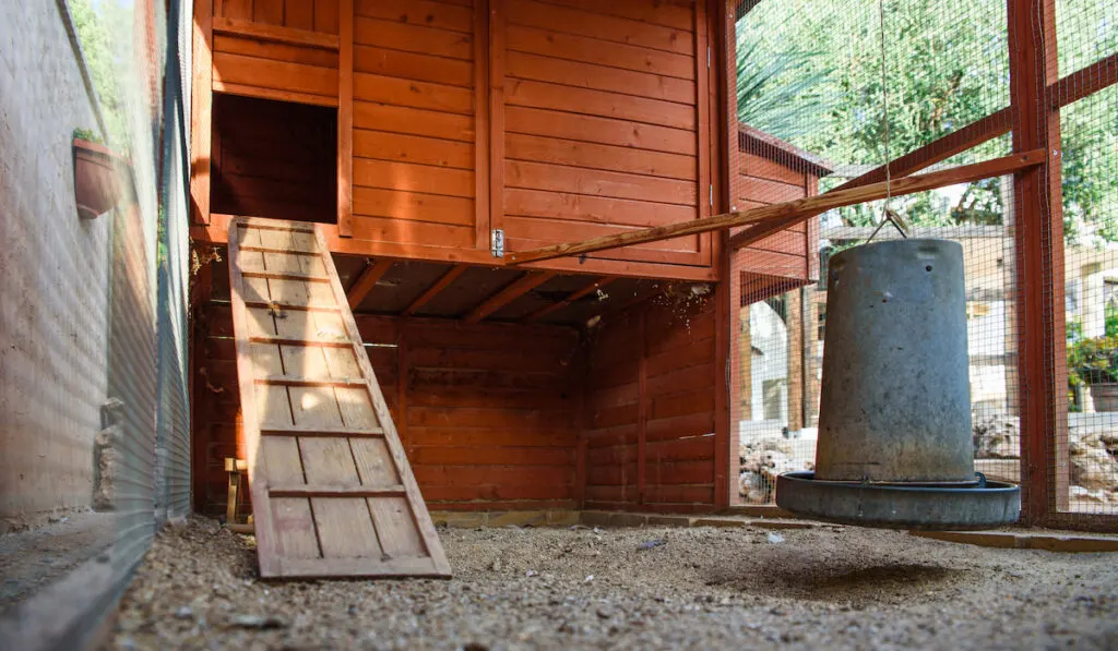 interior of chicken coop