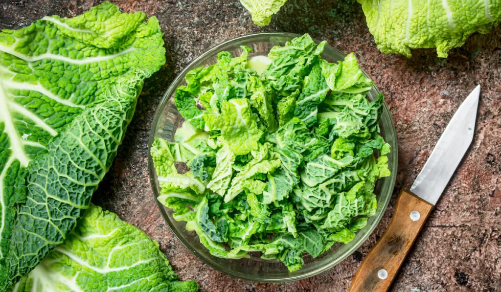 leafy green salad