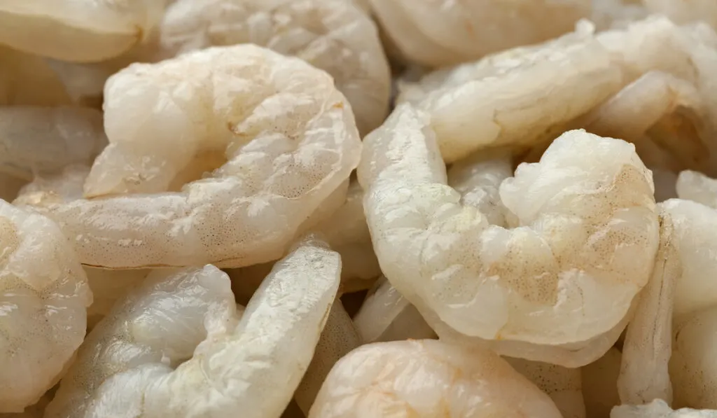 peeled shrimp uncooked