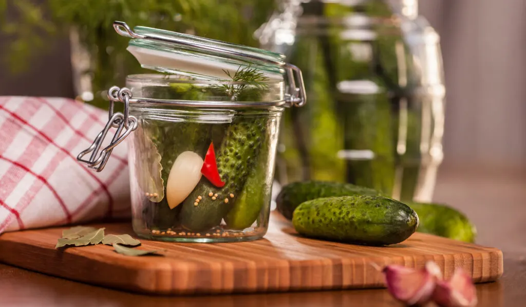 pickled cucumber