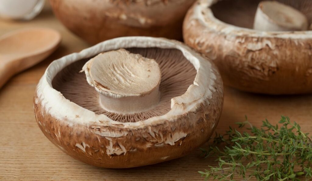 raw portobello mushrooms - ee220320