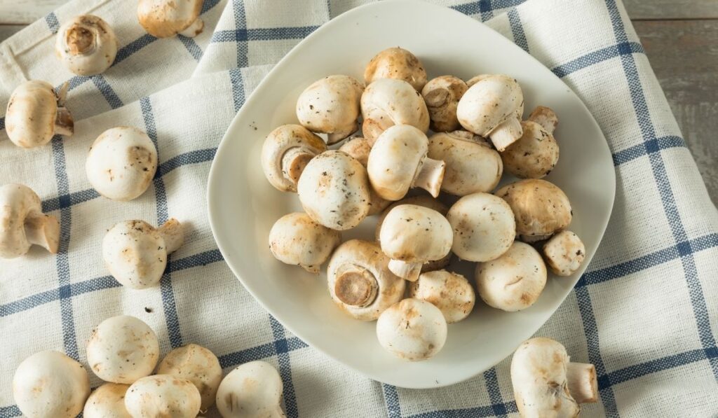 raw white baby button mushrooms on a white plate - ee220320
