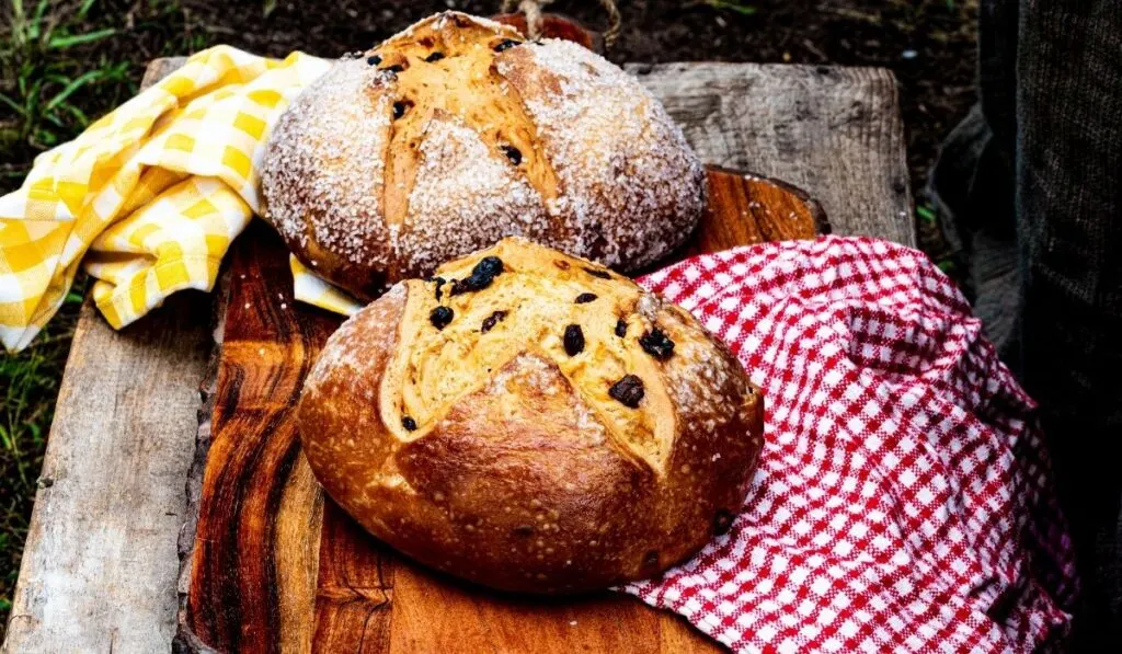 two irish soda bread - ee220320