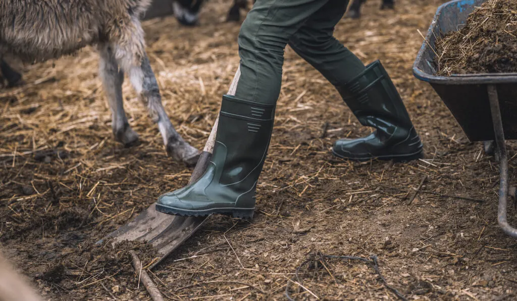 A farmer wearing boots cleaning the goat pen