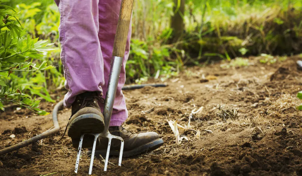 A woman using a pitchfork in a small field 