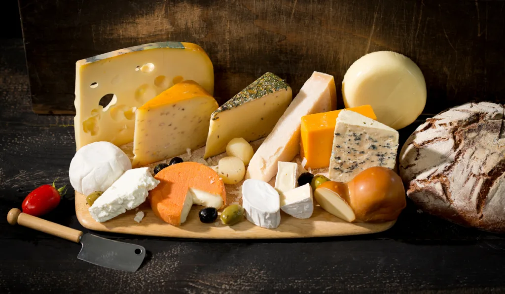 Cheese platter with different sorts of cheese