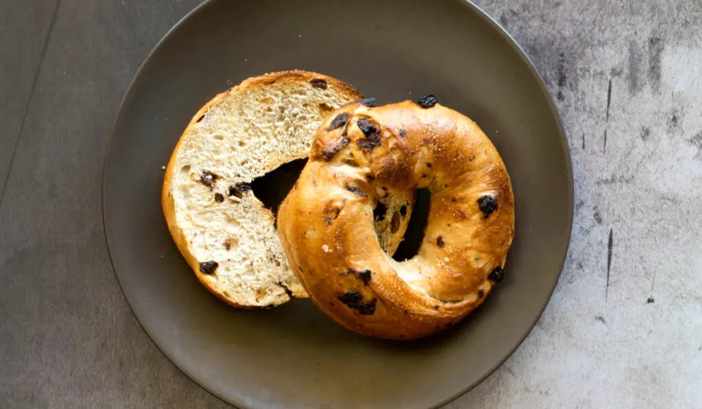 Cinnamon Raisin Bagel on a Concrete Background 