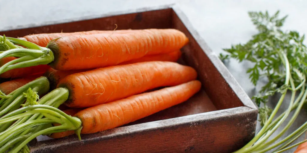 Fresh raw carrots with leaves in a a wooden box