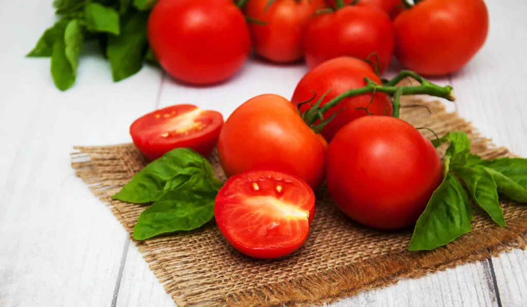 Fresh tomatoes with leaves on white background 