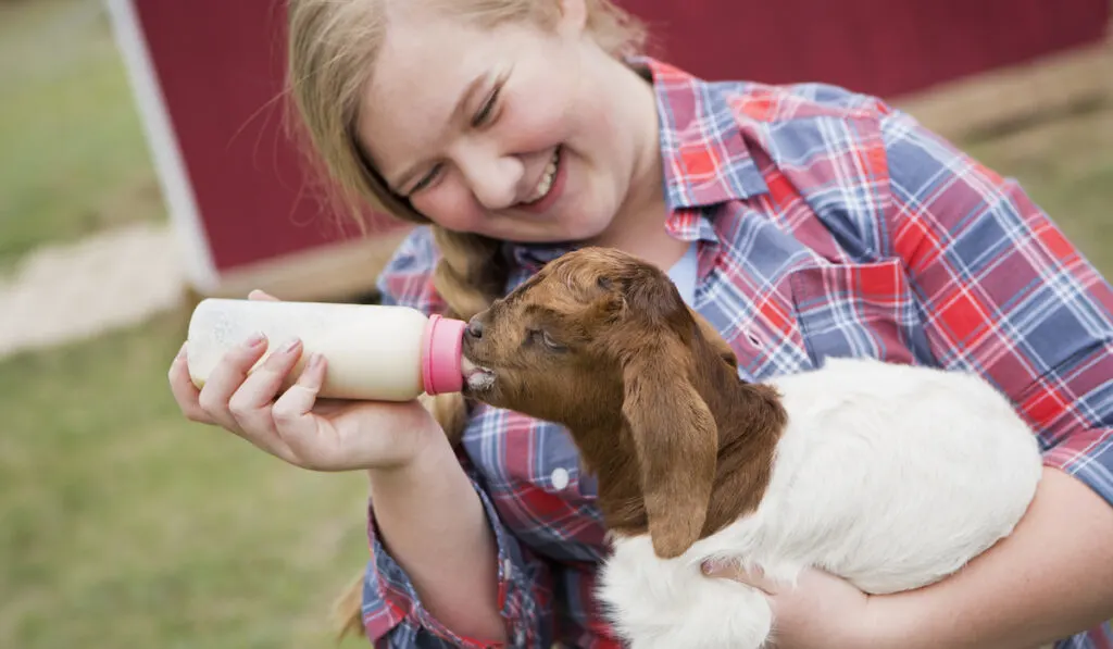 Happy girl bottle-feeding a baby goat 