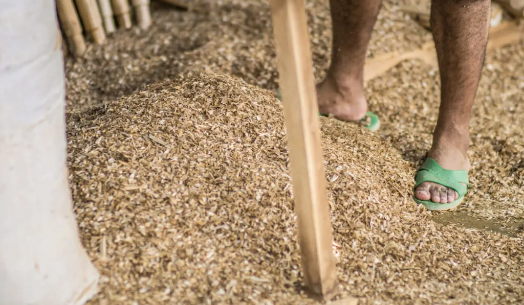 heap of sawdust in the farm