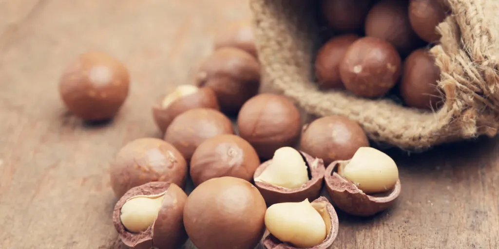 Organic Macadamia nut on wooden table