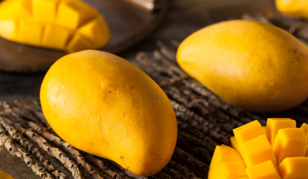 Raw Organic Yellow whole and cut mangoes 