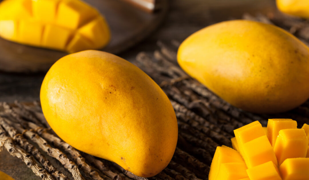 What Fruits Can Cows Eat? Farmhouse Guide