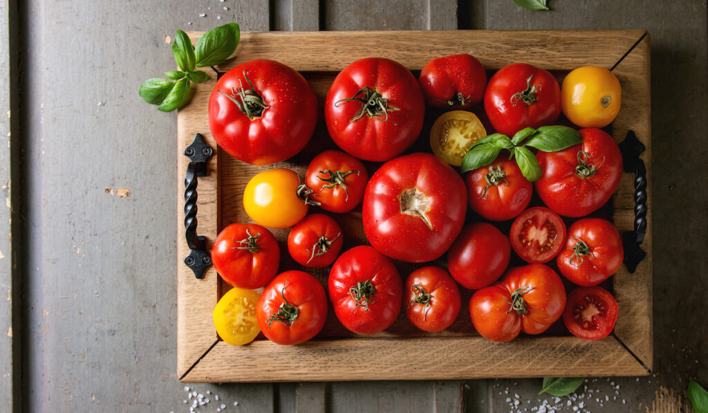 Ripe fresh tomatoes in wooden board -