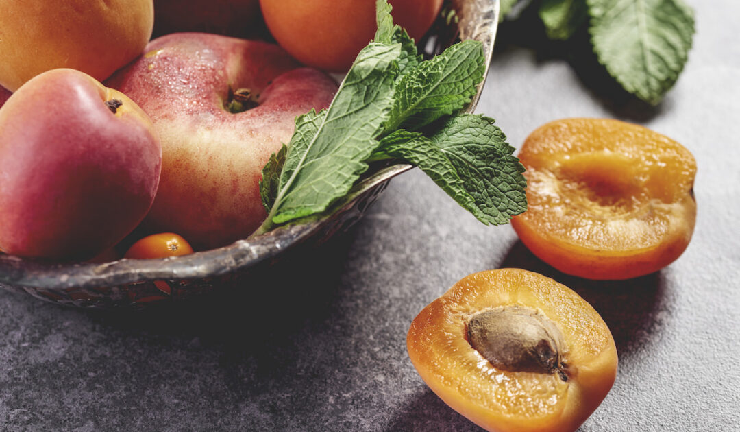 Can Rabbits Eat Corn on the Cob? Farmhouse Guide