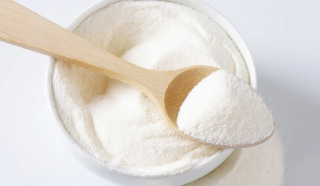 Whole milk powder in a wooden spoon