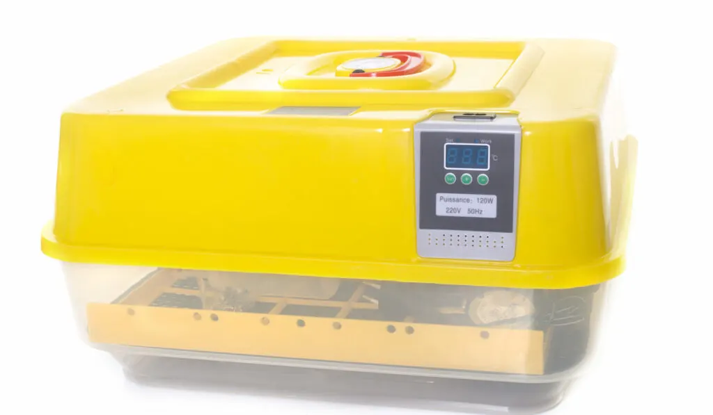 Yellow incubator machine for eggs