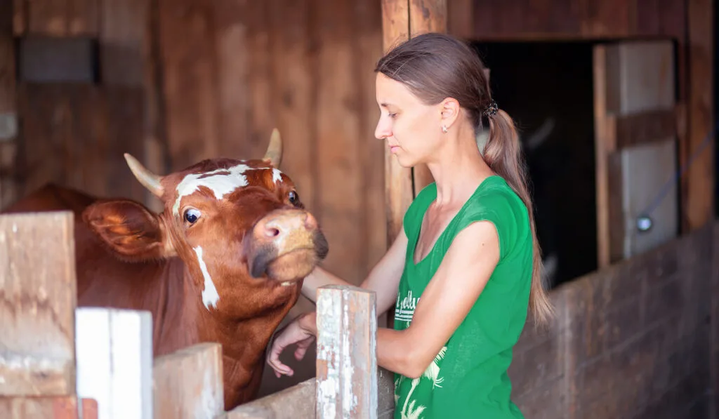 Young woman in the village petting her cow 