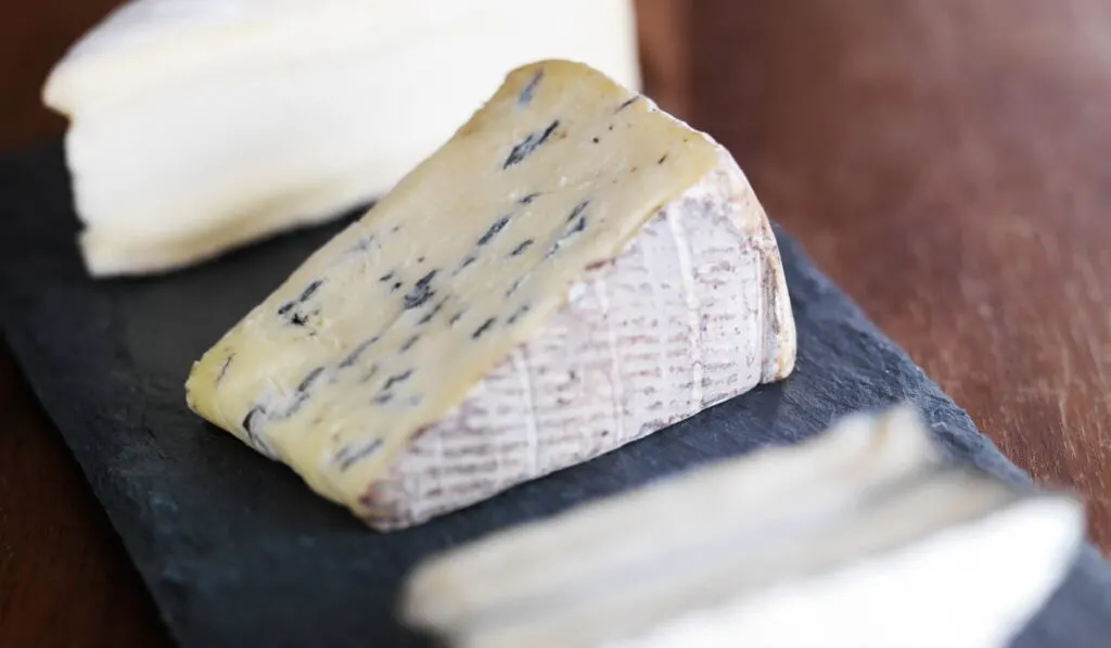 assorted cheese on slate tray