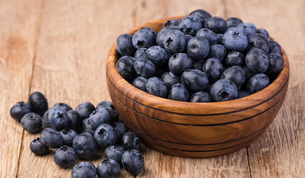 blueberries on wooden bowl