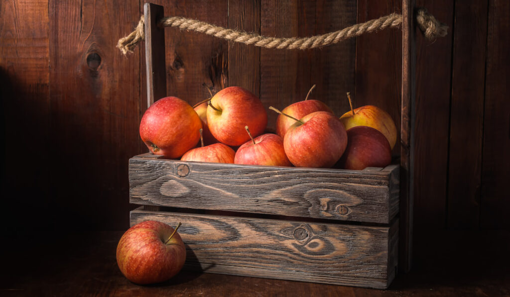 bunch of red apples on wooden box and wooden background 
