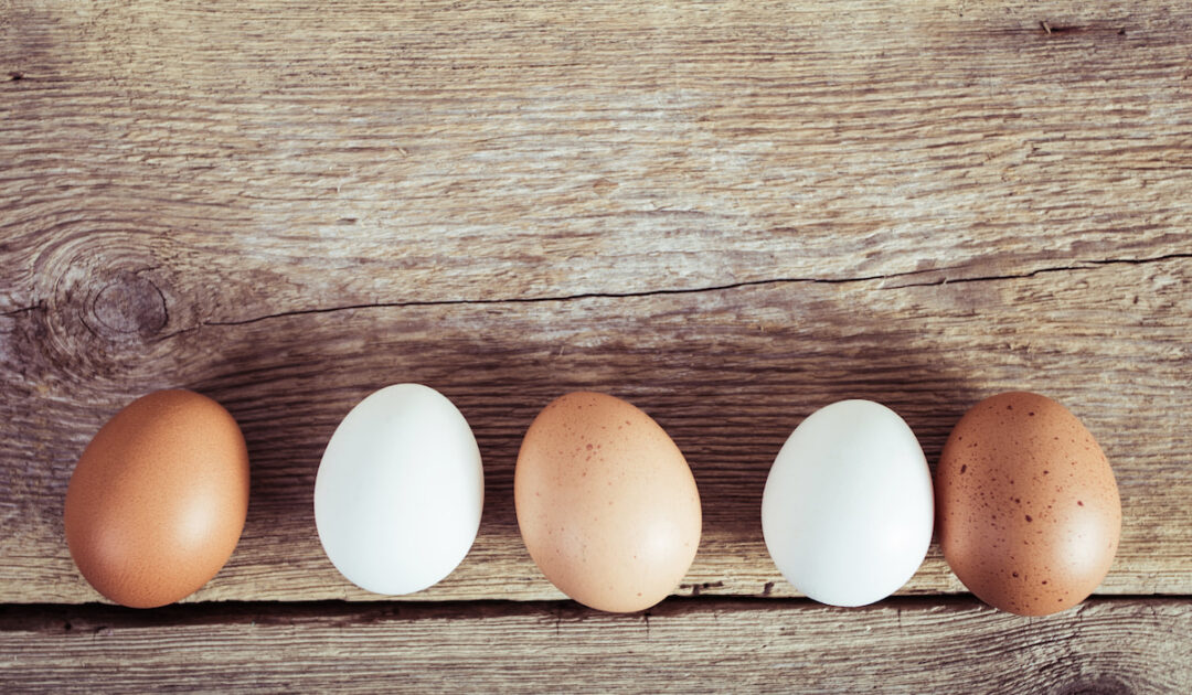 Can You Incubate Duck and Chicken Eggs Together? Farmhouse Guide