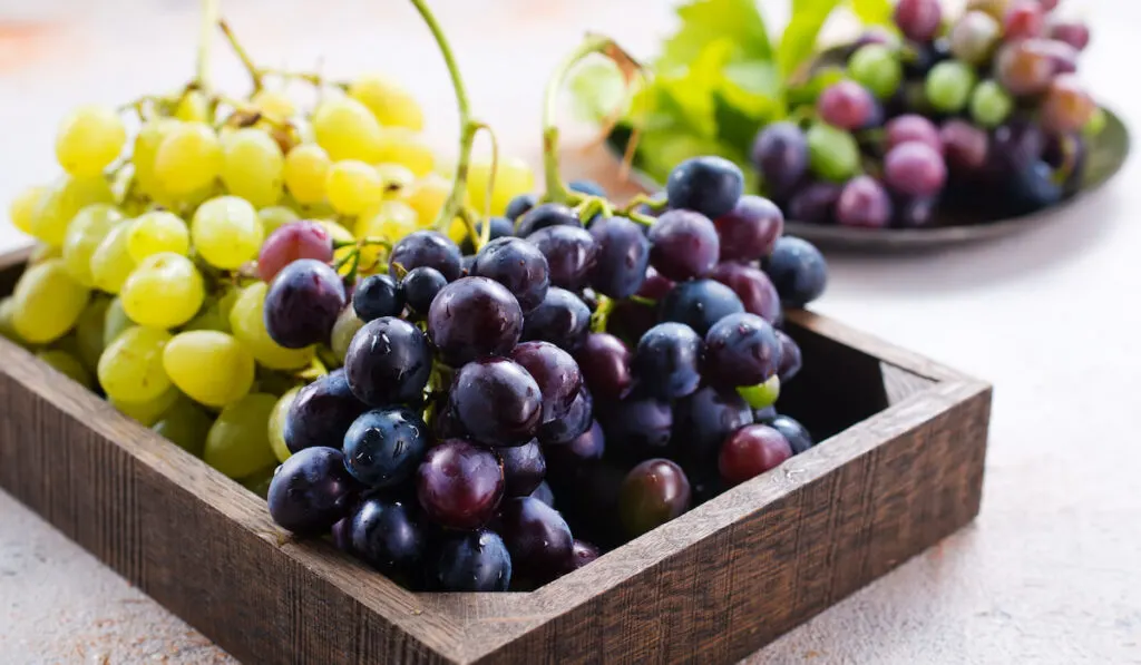 different kind of fresh grapes on wooden box and plate
