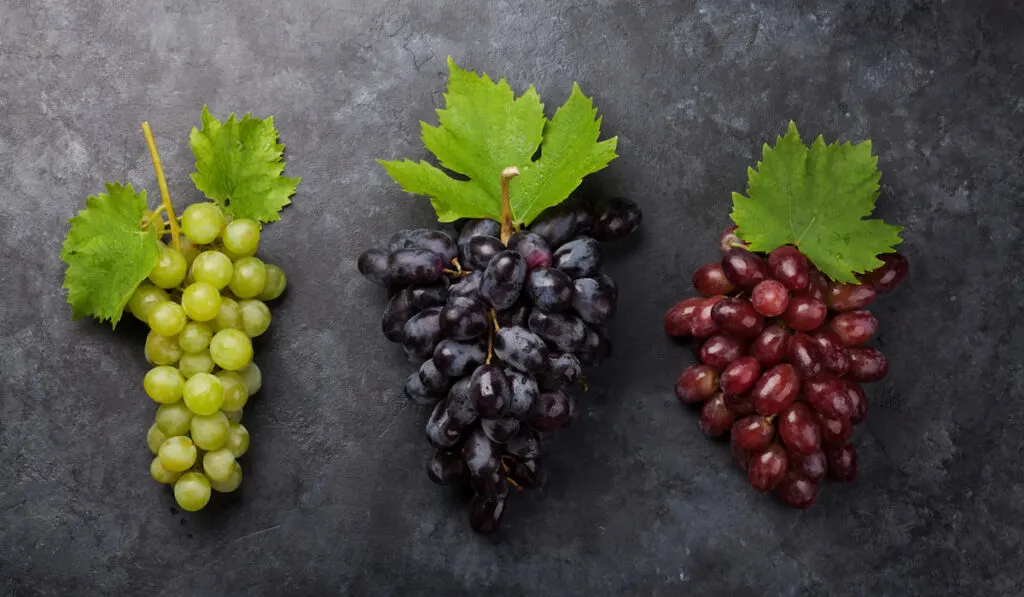 different types of grapes freen violet and red on black background