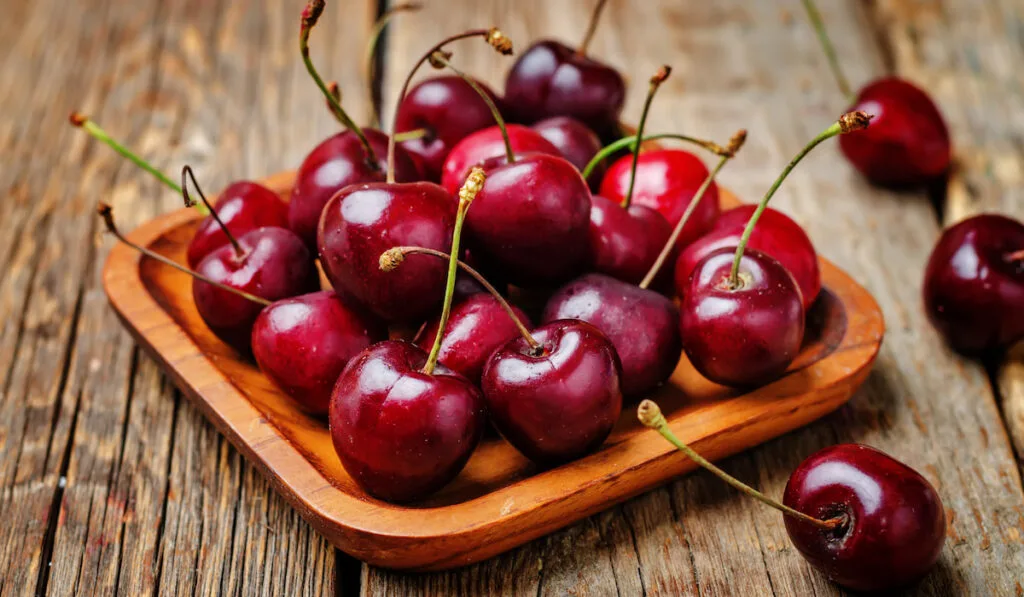 fresh cherries on small wooden plate