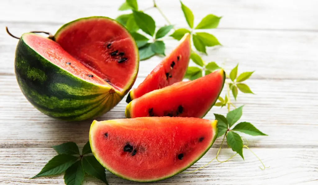 fresh sliced watermelon with leaves on light background 