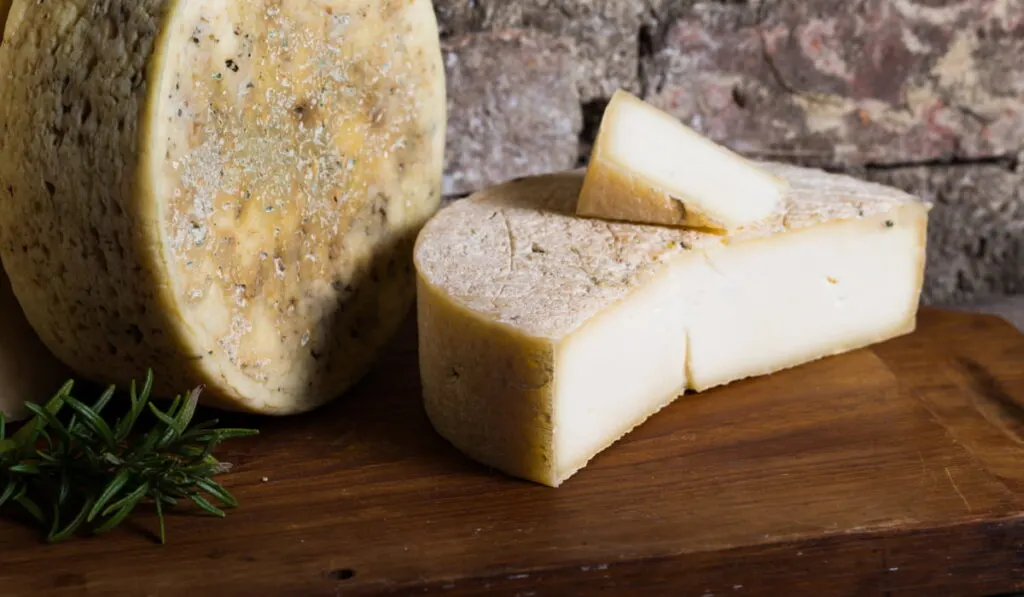 goat cheese wheel display on a wooden board 