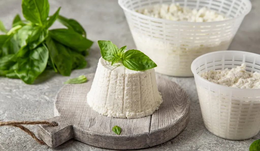 homemade ricotta cheese and some fresh basil