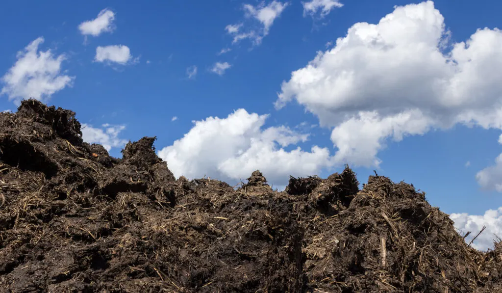 pile of Dung heap in a cloudy day