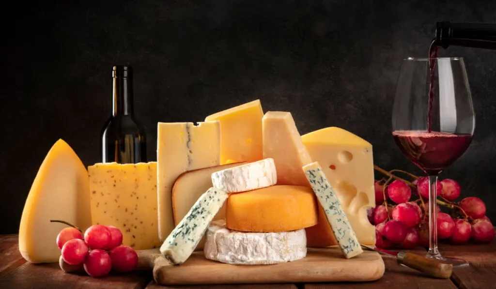 platter of different kinds of cheese with red wine