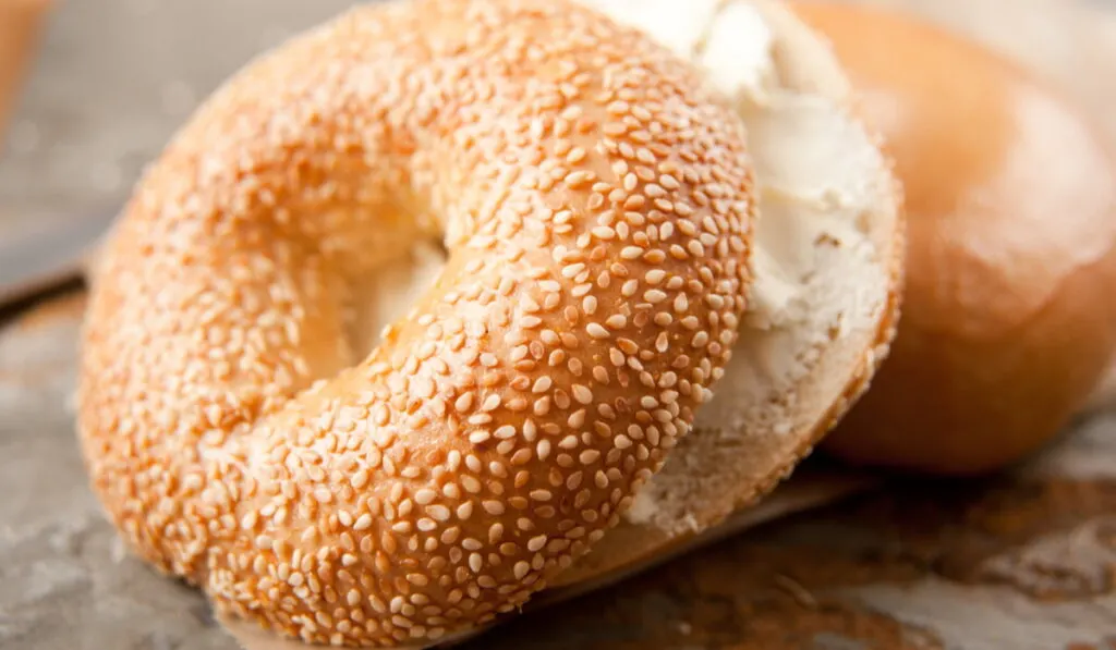 sesame bagel with cream cheese for breakfast