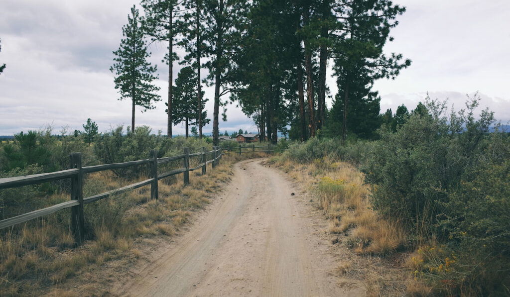 small wooden fence along the road 