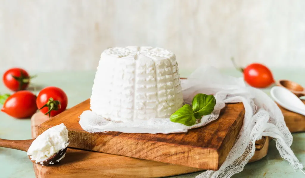 whole ricotta cheese with fresh basil, some cherry tomatoes on the background