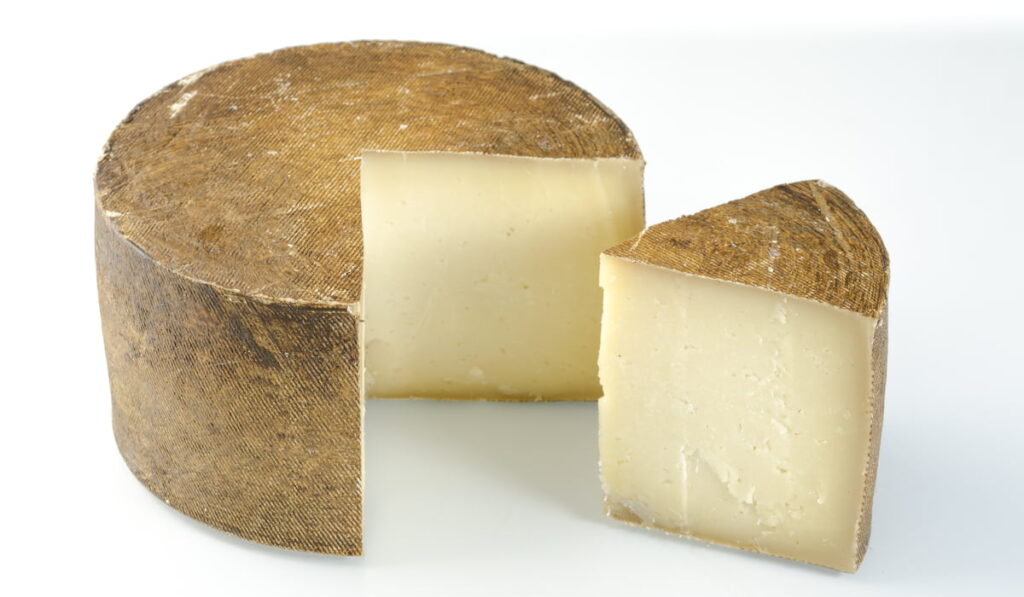 whole wheel of sheep cheese on white background