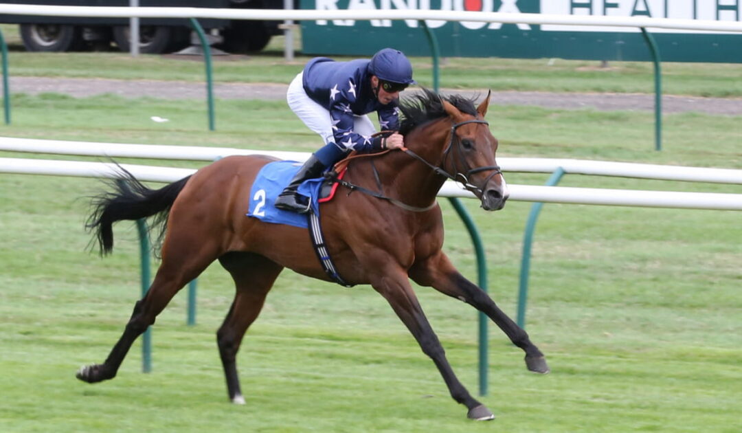 Top Quarter Horse Bloodlines for Each Discipline Farmhouse Guide