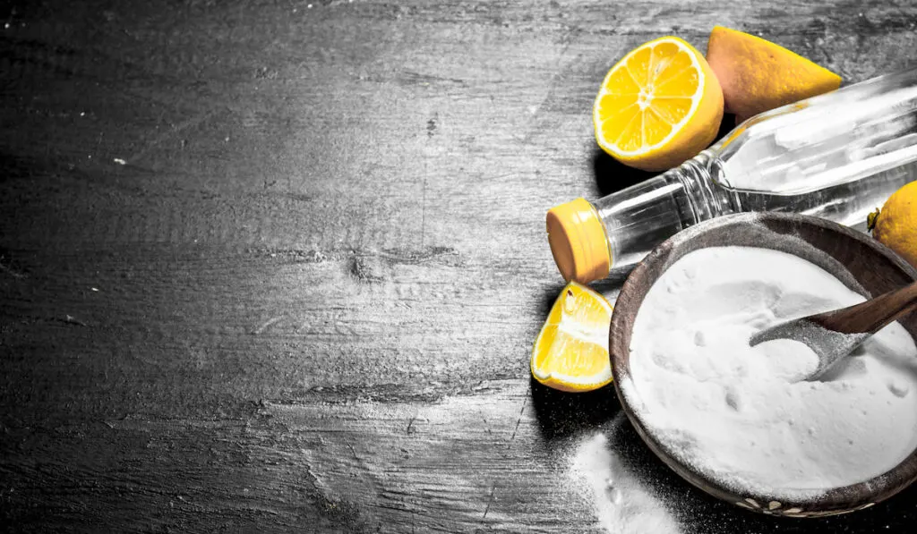 Baking soda in a bowl with vinegar and lemon slices