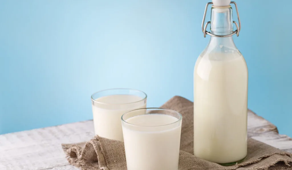 Bottle and glass with milk