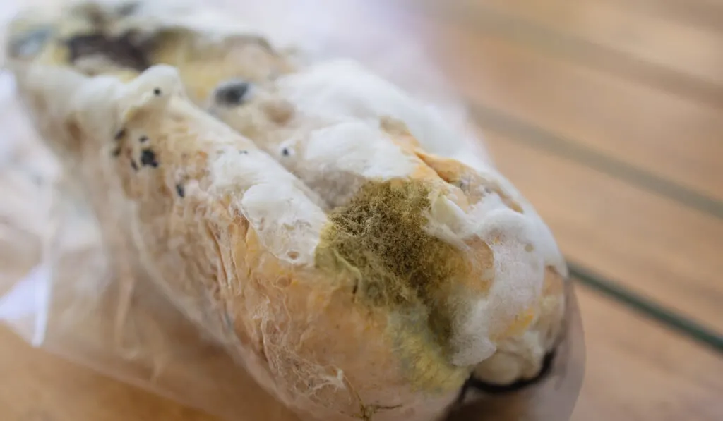 Closeup moldy bun in plastic pack on wooden table 