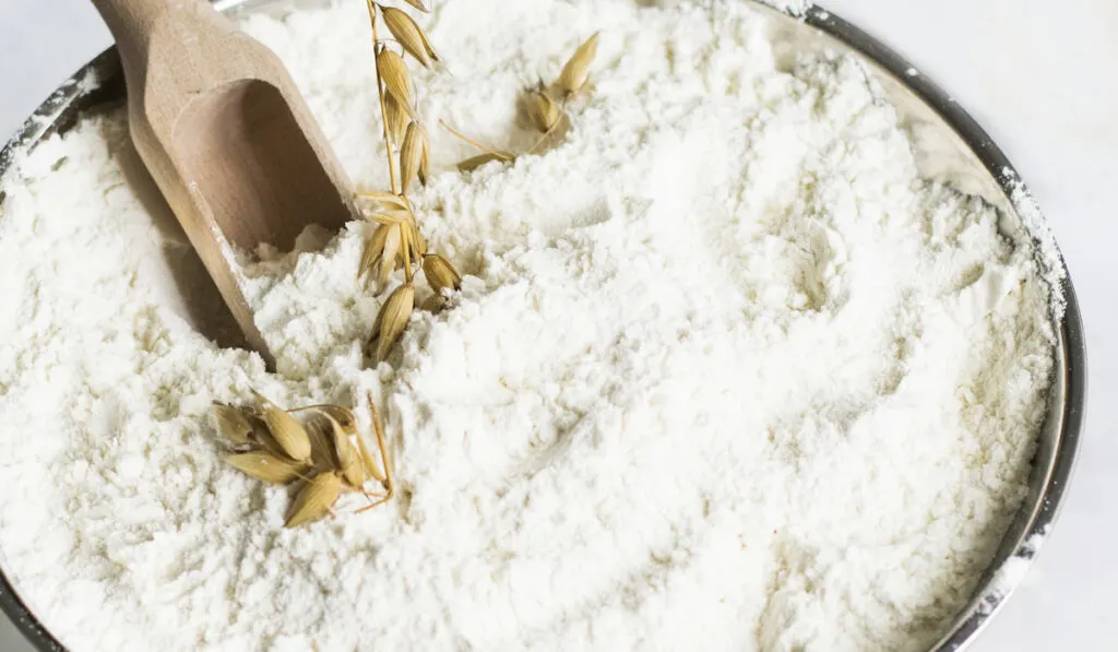 Closeup of all-purpose flour in a bowl on white background