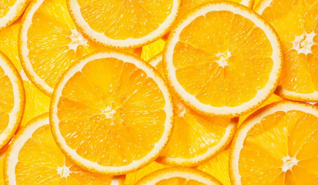 orange slices close up
