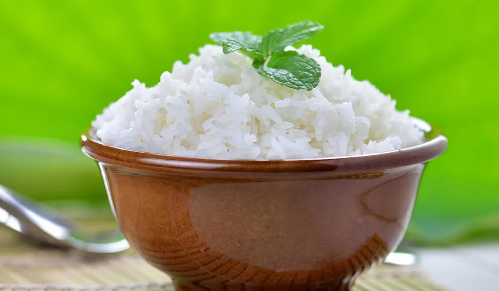 Cooked white rice garnished with mint in a ceramic bowl