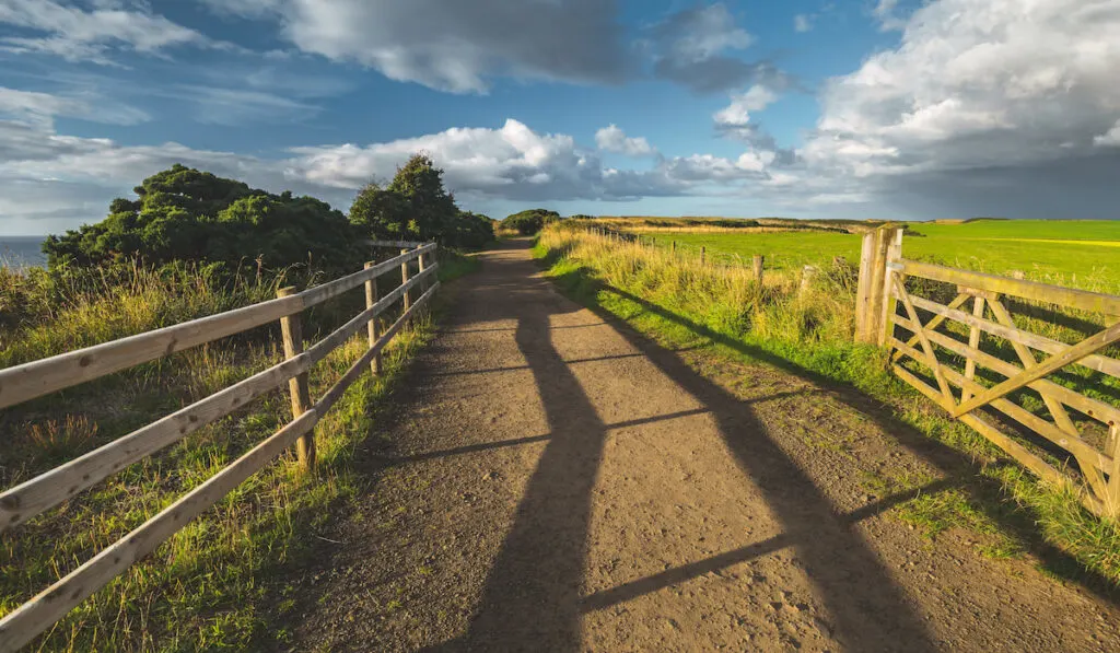 Countryside road with wooden rail fence 