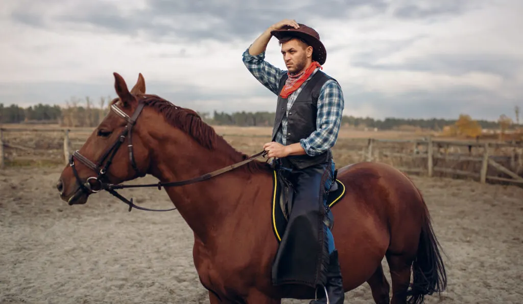 Cowboy riding a horse in desert valley, western