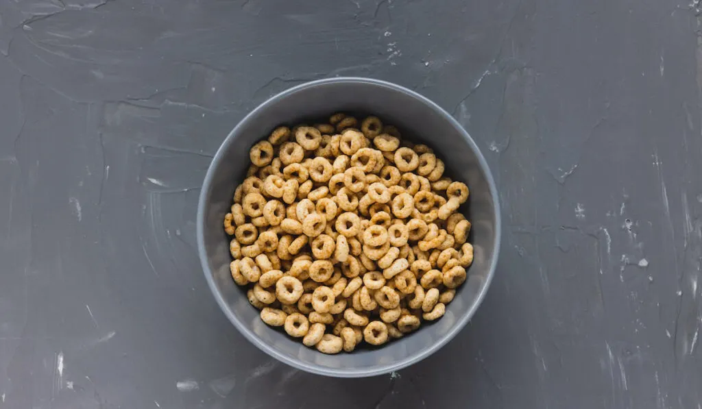 Delicious honey cheerios cereal in a bowl