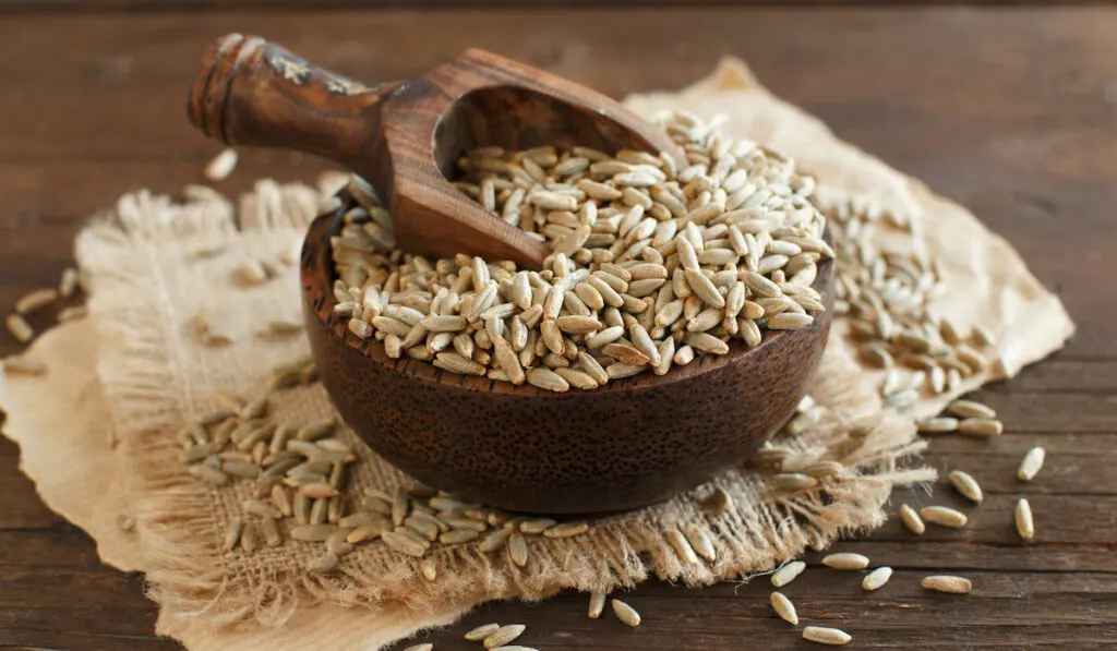 Dry Raw Rye Grain on wooden bowl 
